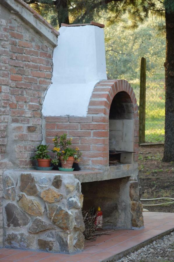 Agriturismo San Lino-Gilberto Massa Marittima Exterior photo